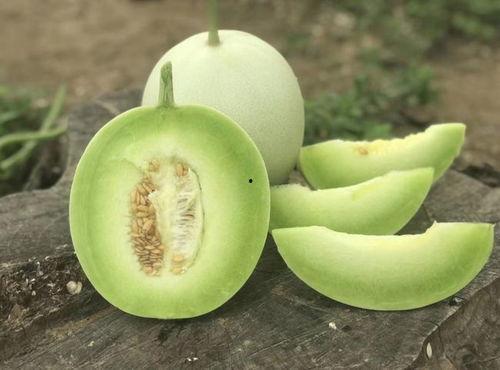 玉瓜老了怎样吃最好视频,探索美味新境界